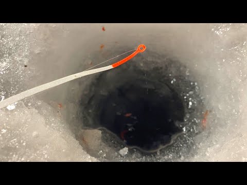 Видео: ПОДНЯЛО КИВОК в РЕЧНОЙ ЯМЕ...Крупняк подходит. Зимняя рыбалка 2022
