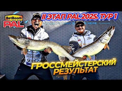 Видео: MOTHER OF DRAGONS - МОЩНЫЙ СТАРТ 2-го ЭТАПА BetBoom PAL2025 | ТУР 1