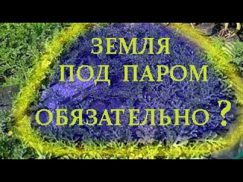 Видео: Земля под паром. Обязательно для дачных участков?