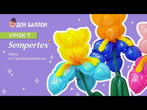 Видео: Урок 7. Ирис от художника по воздушным шарам Sempertex Сергея Шевченко
