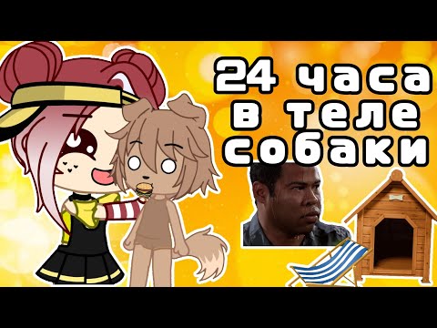 Видео: 24 Часа В Теле Собаки! 🐶 Gacha club/life