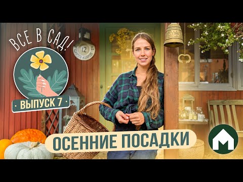 Видео: Что сажать осенью? / Все в сад! #7