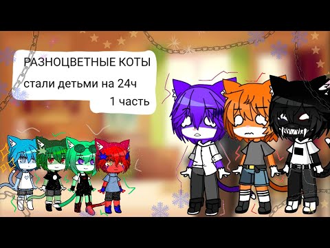 Видео: Разноцветные коты стали детьми на 24 часа