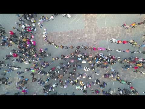 Видео: Сбор село Брест 2018