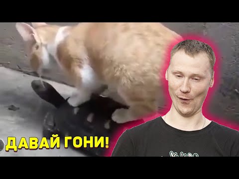 Видео: ЗАСМЕЯЛСЯ - ПОДПИСАЛСЯ!! ЛУЧШИЕ ПРИКОЛЫ 2020 ТЕСТ НА ПСИХИКУ - РЕАКЦИЯ на Союз смеха