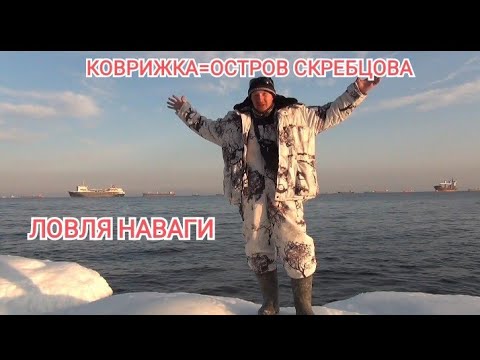 Видео: Зимняя рыбалка 2022.ловля наваги. Рыбалка владивосток.Жизнь в Приморье.