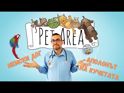 Видео: 🐶ПОРОДНА ВИЗИТКА: НЕМСКИ ДОГ!!!