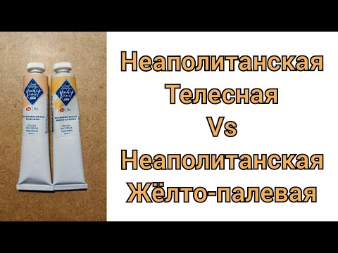 Видео: Неаполитанская телесная и неаполитанская Жёлто-палевая. В чём их особенность?