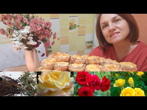 Видео: ГРІНКИ З ФАРШЕМ І РОЗПАКУВАННЯ З "ВАСИЛЬЄВ САД" 🫐🌱🌹