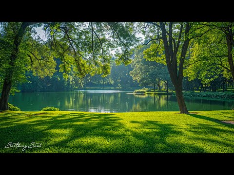 Видео: Красивая расслабляющая музыка для снятия стресса - Расслабляющая музыка для духовного исцеления