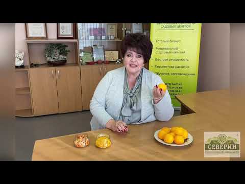 Видео: Секрет мандариновой корки