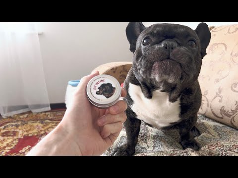 Видео: Олег слизывает мазь, опасно ли это?