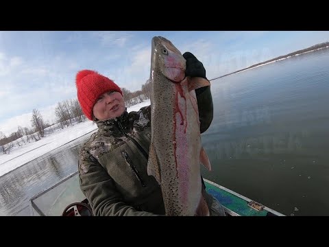 Видео: Рыбалка на Камчатке весной, или пополняем холодильник!
