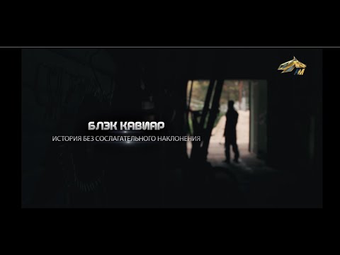Видео: PRO_Лошадей. Блэк Кавиар. 10 октября 2021 года. 16:05