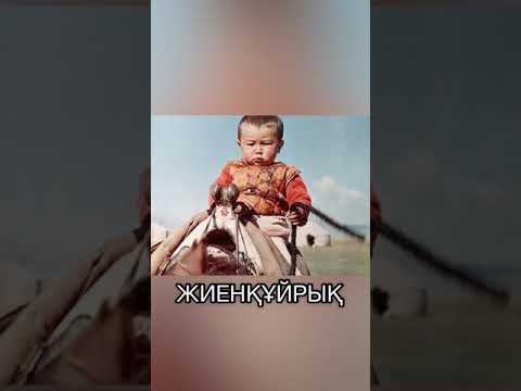 Видео: ЖИЕНҚҰЙРЫҚ НЕМЕСЕ ЖИЕНҚҰРЫҚ