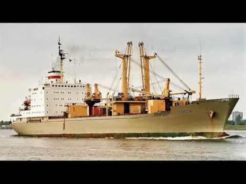 Видео: Гибель теплохода  "Полесск"