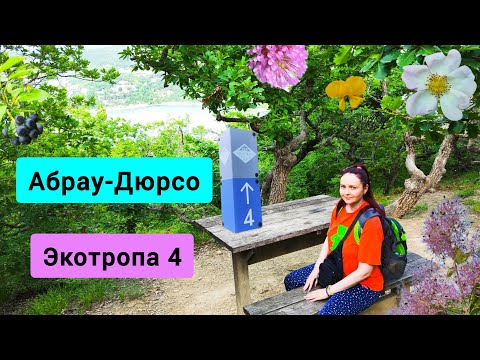 Видео: #153 Абрау-Дюрсо 2025 поход по живописной экотропе номер 4 #леснаяцаревна #пойдемсомной #sumkiberry