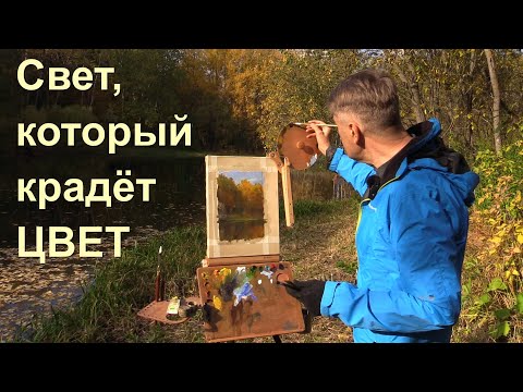 Видео: СВЕТ, который крадёт ЦВЕТ.  Про доминирующее освещение