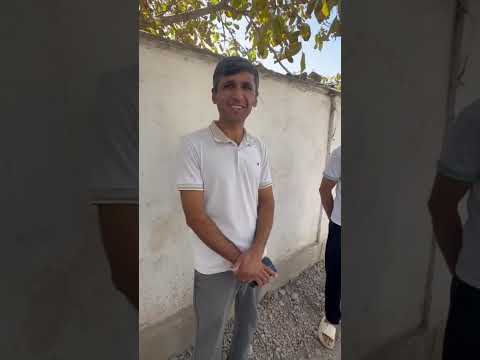 Видео: 13 октября 2025 г.