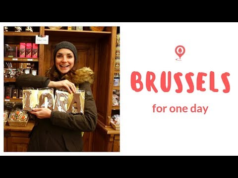 Видео: В Брюксел за един ден през Декември | One Day Trip In Brussels During December