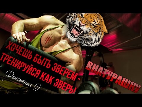 Видео: Тренировка натурала. ХОЧЕШЬ БЫТЬ ЗВЕРЕМ - ТРЕНИРУЙСЯ КАК ЗВЕРЬ!