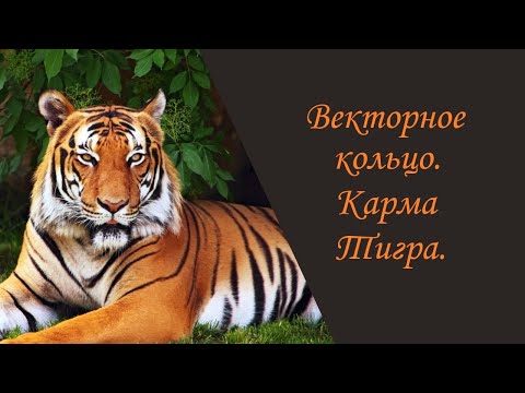 Видео: Векторное кольцо. Карма Тигра.