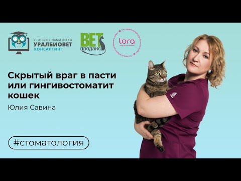 Видео: Скрытый враг в пасти или гингивостоматит кошек. Лектор Юлия Савина