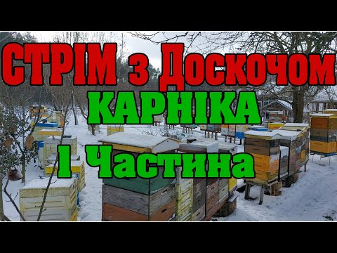 Видео: Карніка. Все про породу. Стрім з Доскоч Іваном Михайловичем