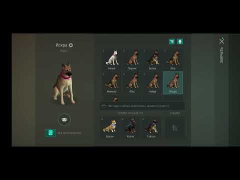 Видео: Завершаем событие курьеская служба и покупаем добермана в Ldoe!