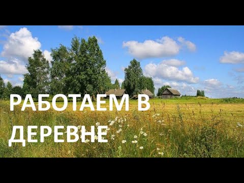 Видео: Работаем в деревне в июле//красим,пропалываем,удобряем.Про огород и цветник.