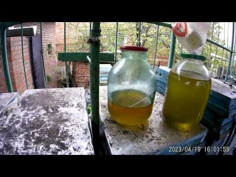 Видео: Куда "сплавляю"подсолнечный мёд.