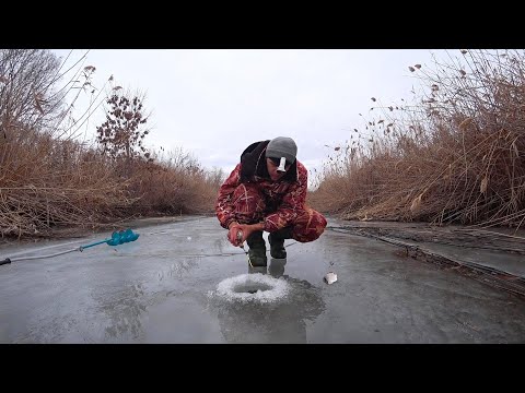 Видео: УСТАЛ ПОДСЕКАТЬ. КАНАВА ВОКРУГ ПОЛЯ ПОЛНА РЫБЫ. Азартная зимняя рыбалка на мормышку.