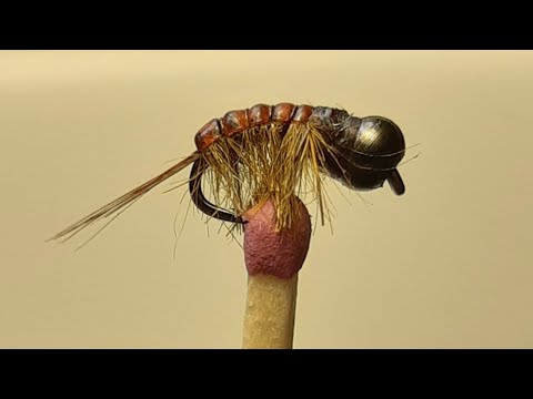 Видео: Мормомушка -Гаммарус