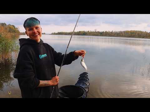 Видео: Рыбалка На Водохранилище С ФИДЕРОМ. ЛОВЛЮ ОСЕНЬЮ подлещика и плотву #537