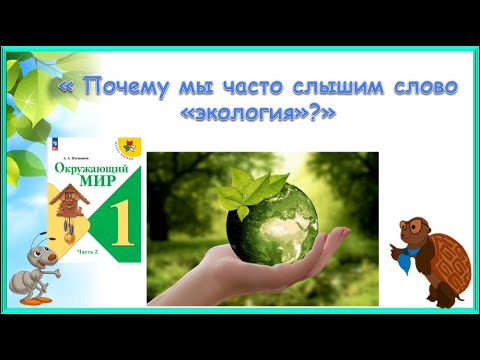 Видео: Почему мы часто слышим слово "экология"?