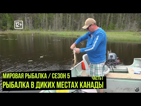 Видео: Рыбалка в диких местах Канады // Мировая рыбалка #5 / #10