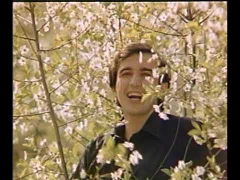 Видео: Назарій Яремчук - Запитай у серця