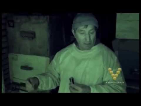 Видео: Занос ульев в омшаник — зимовка
