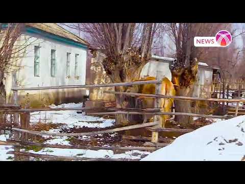Видео: Жон-Булак айылы,таза суу...