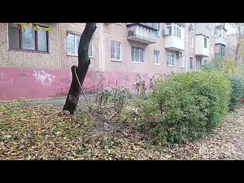 Видео: ДАЖЕ НЕ ВЕРИТСЯ, ЧТО ТАК МЫ ЖИВЁМ! ЗАПОРОЖЬЕ ❤️ НОЯБРЬ 🍁 2025