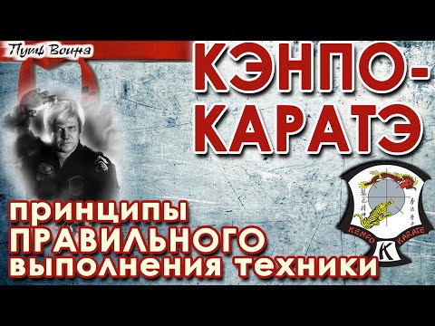 Видео: Кэнпо Каратэ: принципы ПРАВИЛЬНОГО выполнения техники.