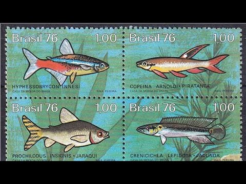 Видео: Филателия. Обзор альбома "Рыбы на марках". Часть 1. / Philately. Fishes on stamps. Episode 1 