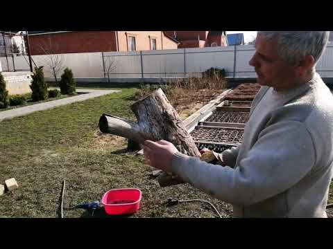 Видео: Строим шмелиный домик для опыления голубики.