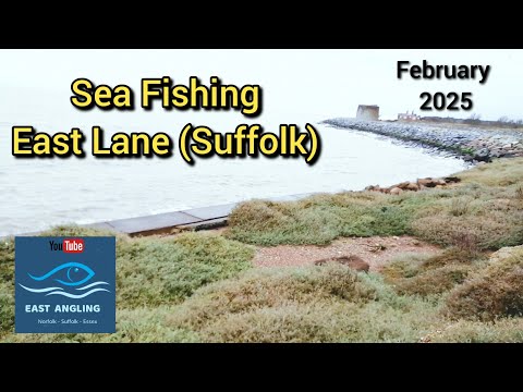 Видео: Морская рыбалка Ист-Лейн (Саффолк)