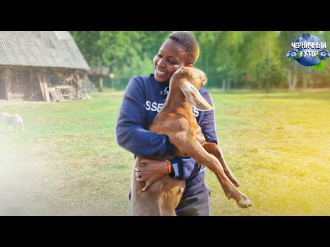 Видео: Из Африки привезла в себе зубы питона. На белорусском хуторе поселилась Африканка.
