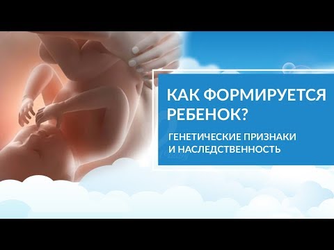 Видео: Как формируется плод ребенка? Генетика. Вредные привычки беременных