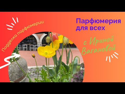 Видео: Парфюмерия для всех с Ириной Вагановой. Подделки в парфюмерии