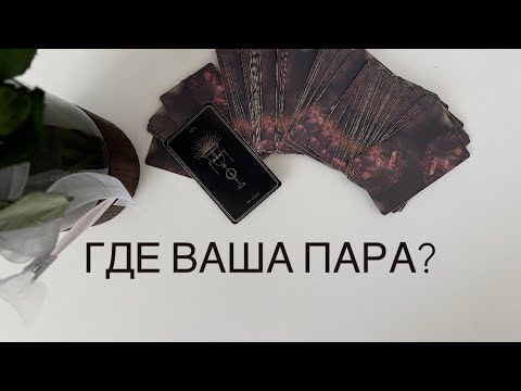 Видео: ГДЕ ВАША ПАРА?