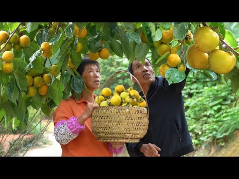 Видео: Хурма большая и много, бабушка делает закуски хурмы и цветочный чай, красный и сладкий традиционный