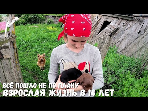 Видео: ВСЁ ПОШЛО НЕ ПО ПЛАНУ! ВЗРОСЛАЯ ЖИЗНЬ В 14 ЛЕТ! ОРЛОВЕЦ